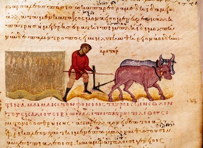 Agricultura: escena de arado de Unknown artist