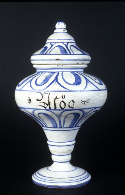 Albarelle: jarrón de farmacia del siglo XVI que contiene Aloe. Museo de Ciencia y Tecnología, Milán. de Unknown artist