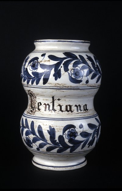 Albarelle: antiguo jarrón de farmacia del siglo XVI que contiene genciana. Museo de Ciencia y Tecnología, Milán de Unknown artist