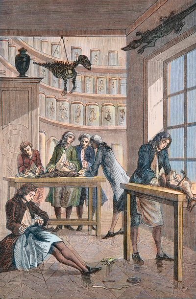 Albrecht von Haller (Albert de Haller) (1708-1777) en su laboratorio en Berna, Suiza - Laboratorio del médico suizo Albrecht von Haller (1708-1777) en Berna de Unknown artist