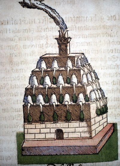 Alquimia: el Athanor Cuatro de un libro de Pietro Andrea Mattioli (Matthiole) (1500-1577). Frankfurt de Unknown artist