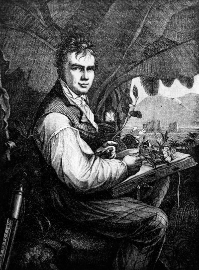 Alexander Von Humboldt de Unknown artist