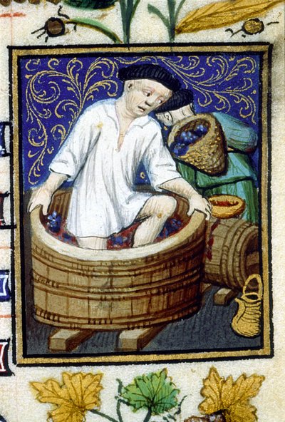 Representación alegórica de septiembre. Cosecha, desgranado de uvas. Miniatura de un manuscrito del siglo XIV. de Unknown artist