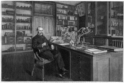 Alphonse Milne Edwards de Unknown artist