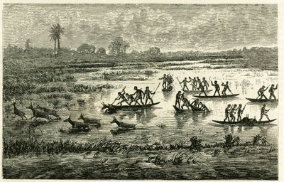 Caza de antílopes, caza anual durante la migración, los antílopes ralentizados en el agua del río son sacrificados por los guerreros Marutse, que los persiguen en equilibrio sobre canoas. Grabado para ilustrar la historia “En el país de los Marutses”, en 1 de Unknown artist