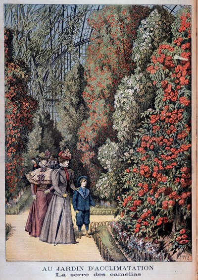 En el jardín de aclimatación: el invernadero de camelias - en “Le Petite Journal” de Unknown artist