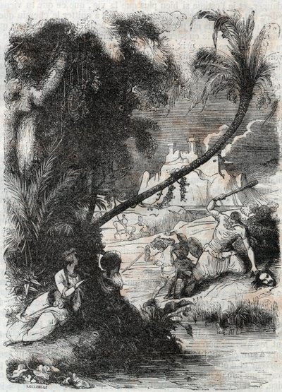 Batalla de Grifón y Aquilante contra Orrile - grabado de 1851 de “Roland Furioso” (Orlando furioso) (siglo XVI) de Ludovico Ariosto, conocido como el Ariosto - Edición traducida del italiano por el Conde de Tressan y publicada por Gustave Harvard. de Unknown artist