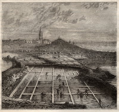 Batz sur Mer, Bretaña, Francia - Fabricación de sal. Vista de una marisma salina en el oeste de Francia - grabado en 