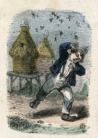 Las abejas atacan a un niño cerca de su colmena. Ilustración del siglo XIX. Colección Bianchetti de Unknown artist