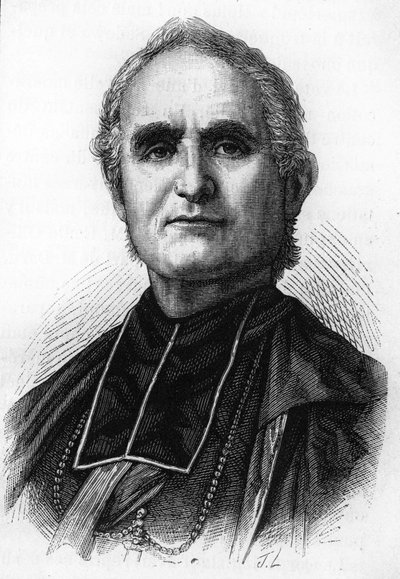 Obispo Félix Dupanloup (1802 - 1878), prelado francés, obispo de Orleans. de Unknown artist