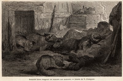 Zorros azules royendo los zapatos de los marineros dormidos de Unknown artist