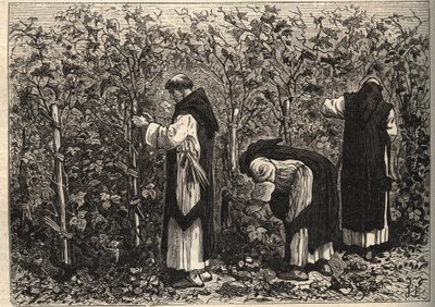Monjes de Borgoña cultivando la vid - por Louis Figuier - finales del siglo XIX de Unknown artist