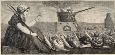 Caracol de Borgoña - grabado del siglo XIX de Unknown artist
