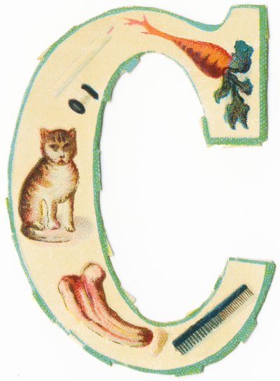 C: coral, zanahoria, vela, algodón, gato, coloquintida, peine de Unknown artist