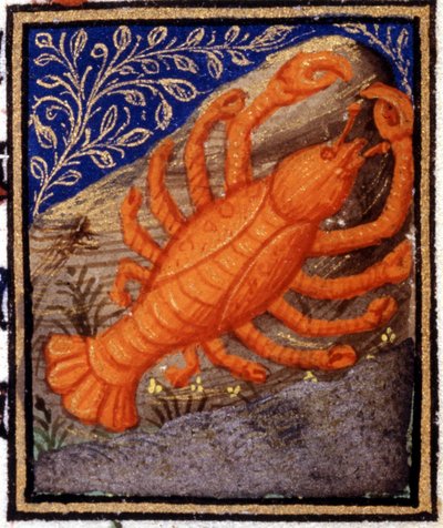 Cáncer. Miniatura de un horóscopo. Manuscrito del siglo XV. Bibl. Trivulziana, Milán. de Unknown artist