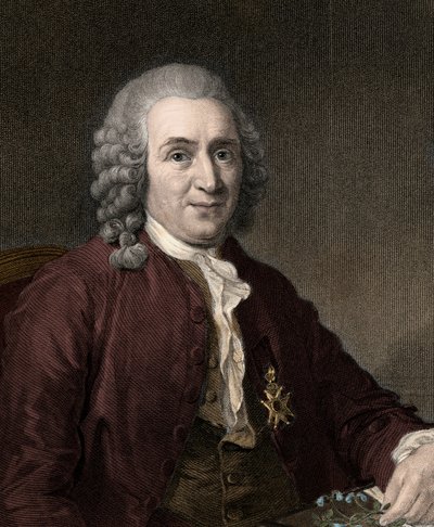 Carl Von Linne de Unknown artist