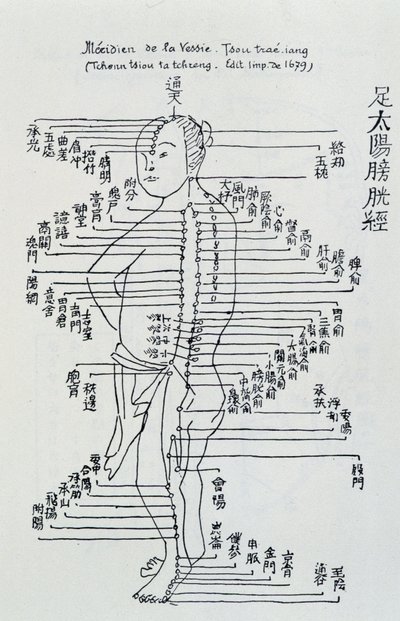 Acupuntura china: el meridiano de la vejiga de Unknown artist
