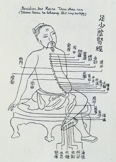 Acupuntura china: el meridiano de los riñones de Unknown artist