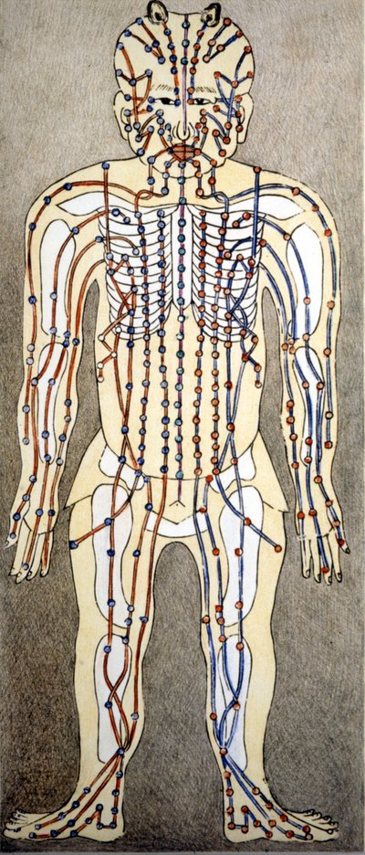 Medicina china. Los flujos del cuerpo donde aplicar acupuntura. Siglo XIX de Unknown artist