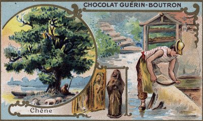 Cromolitografía del embalaje de chocolates Guérin Boutron. Siglo XIX. de Unknown artist
