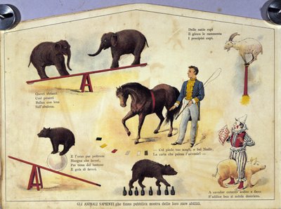 Circo: una tabla que representa diferentes tipos de espectáculos de animales amaestrados con elefantes, una cabra, un oso, caballos y un cerdo de Unknown artist