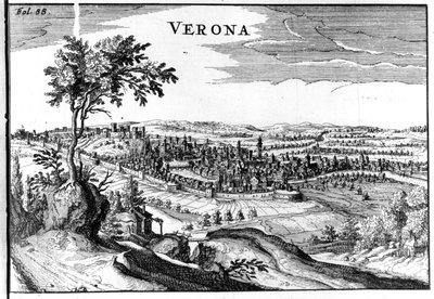 Mapa de la ciudad de Verona siglo XVI de Unknown artist