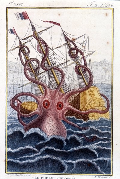 Pulpo colosal atacando un barco - grabado del libro de Pierre Denys-Montfort 