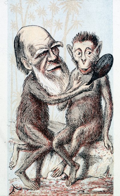 Dibujo cómico sobre la teoría de Darwin - en “London Sketchbook” de Unknown artist