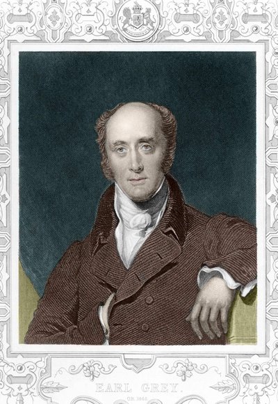 Conde Henry George Grey (1812 - 1898) en 1845 de Unknown artist