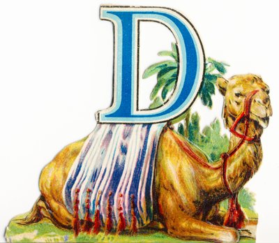 D: Dromedario de Unknown artist