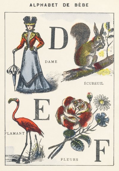 D E F: dama, ardilla, flamenco, flores de Unknown artist