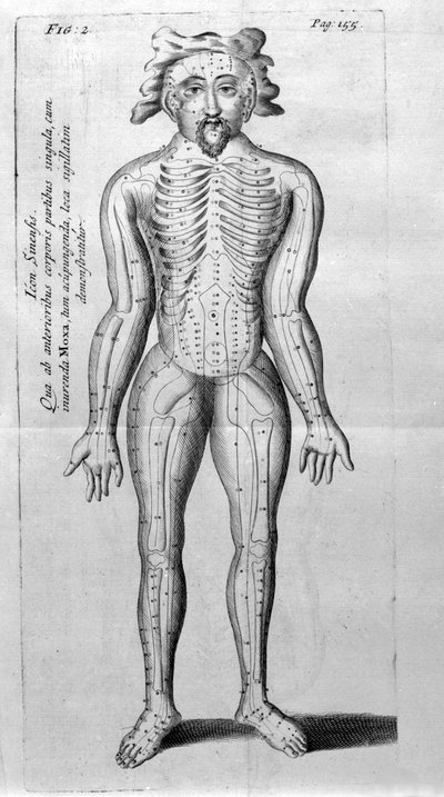 De Acupunctura por W.Ten Rhijne. Londres 1683. Primer texto occidental sobre acupuntura de Unknown artist