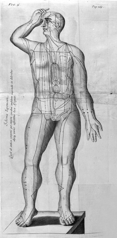 De Acupunctura por W.Ten Rhijne. Londres 1683. Primer texto occidental sobre acupuntura de Unknown artist