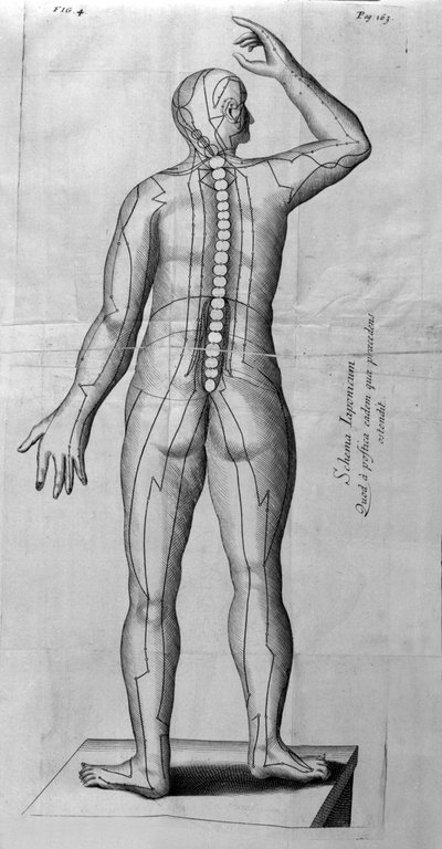 De Acupunctura por W.Ten Rhijne. Londres 1683. Primer texto occidental sobre acupuntura de Unknown artist