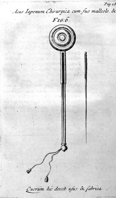 De Acupunctura por W.Ten Rhijne. Londres 1683. Primer texto occidental sobre Acupuntura de Unknown artist