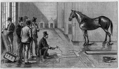 Muerte por Electricidad: un caballo matado por electricidad durante un experimento realizado en el Laboratorio de Edison, Orange (Estados Unidos). Grabado en "La Nature: revue des sciences et de leurs aplicaciones aux arts et a l