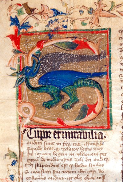Dragón decorado en letra capital (detalle) de un manuscrito del siglo XIV de Unknown artist
