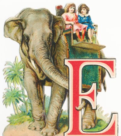 E: Elefante de Unknown artist