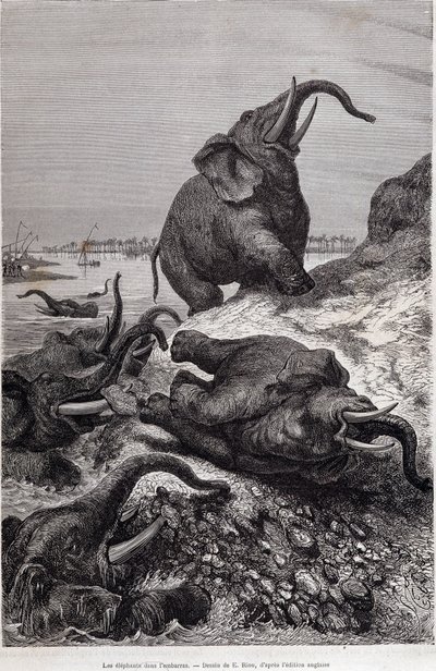 Elefantes subiendo la orilla de un río, en relato de una expedición a África Central encargada por Sir Samuel White Baker, "Tour du monde" de Unknown artist