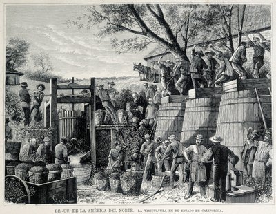 Grabado de 1876 que representa la viticultura en California en el siglo XIX. de Unknown artist