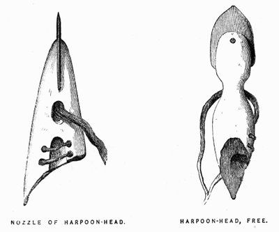 Arpones esquimales - Elisha Kent Kane, Exploración Ártica en los años 1853-1855, Filadelfia, Childs y Peterson de Unknown artist
