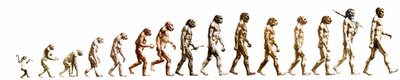 Evolución: Comparación de morfologías desde el mono hasta el hombre actual (diferentes homínidos). Grabado de finales del siglo XIX. de Unknown artist