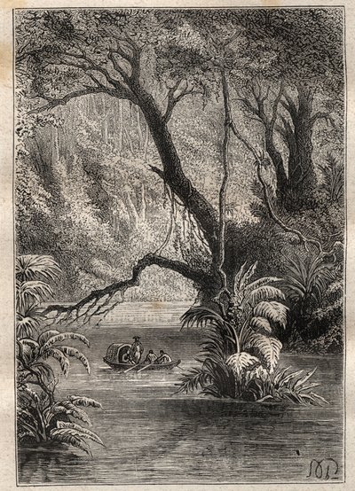 Expedición a América (1799-1804) de Alexander von Humboldt (1769-1859) y Aimé Bonpland (1773-1858): los exploradores descienden el Orinoco, rodeados por los gigantescos árboles de la selva amazónica (Cano Pimichin, Venezuela) - ilustración tomada de “Los G de Unknown artist