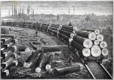 Explotación de los bosques de Estados Unidos. Ferrocarriles temporales con vía de madera. Vagones transportando troncos de árboles. Grabado en “La Nature” de Unknown artist