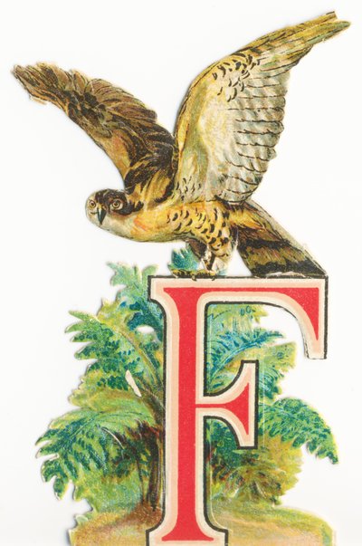 F: Halcón de Unknown artist