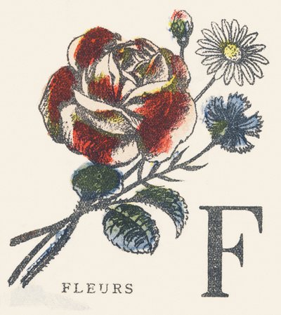 F: flores de Unknown artist