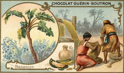 Tela hecha con fibra de cáscaras de plátano. Cromolitografía, embalaje de chocolates Guérin Boutron. de Unknown artist
