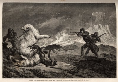 Lucha con un oso polar protegiendo a su cría, la manada de perros la asalta y los cazadores, con rifles, esperan el momento adecuado para dispararle. Grabado para ilustrar el viaje al mar libre del polo Ártico, por el Doctor Hayes, cirujano de la Marina de de Unknown artist