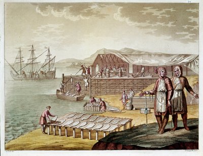 Pesca y secado de bacalao en Terranova (grabado) de Unknown artist