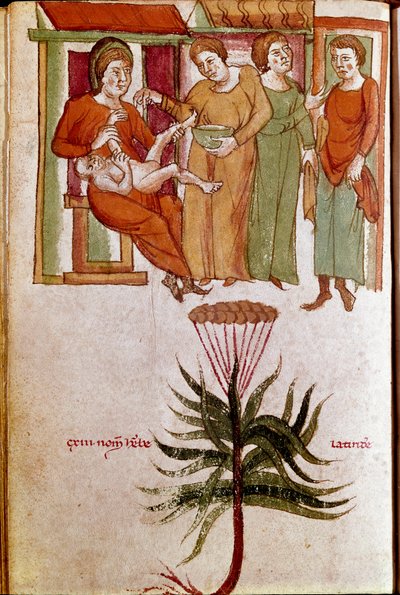 Cuatro mujeres cuidando a un niño, tráfico de cuidado infantil (miniatura, principios del siglo XIII) de Unknown artist